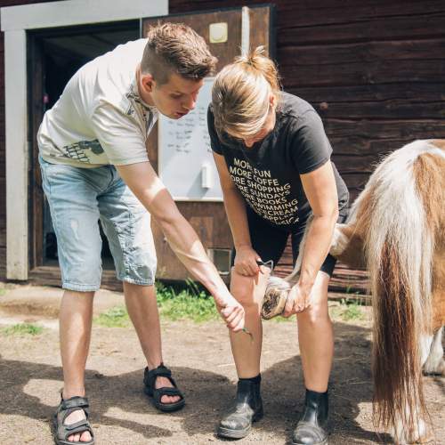 Personlig Assistans