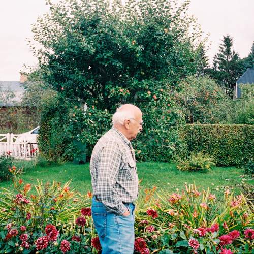 Hemtjänst